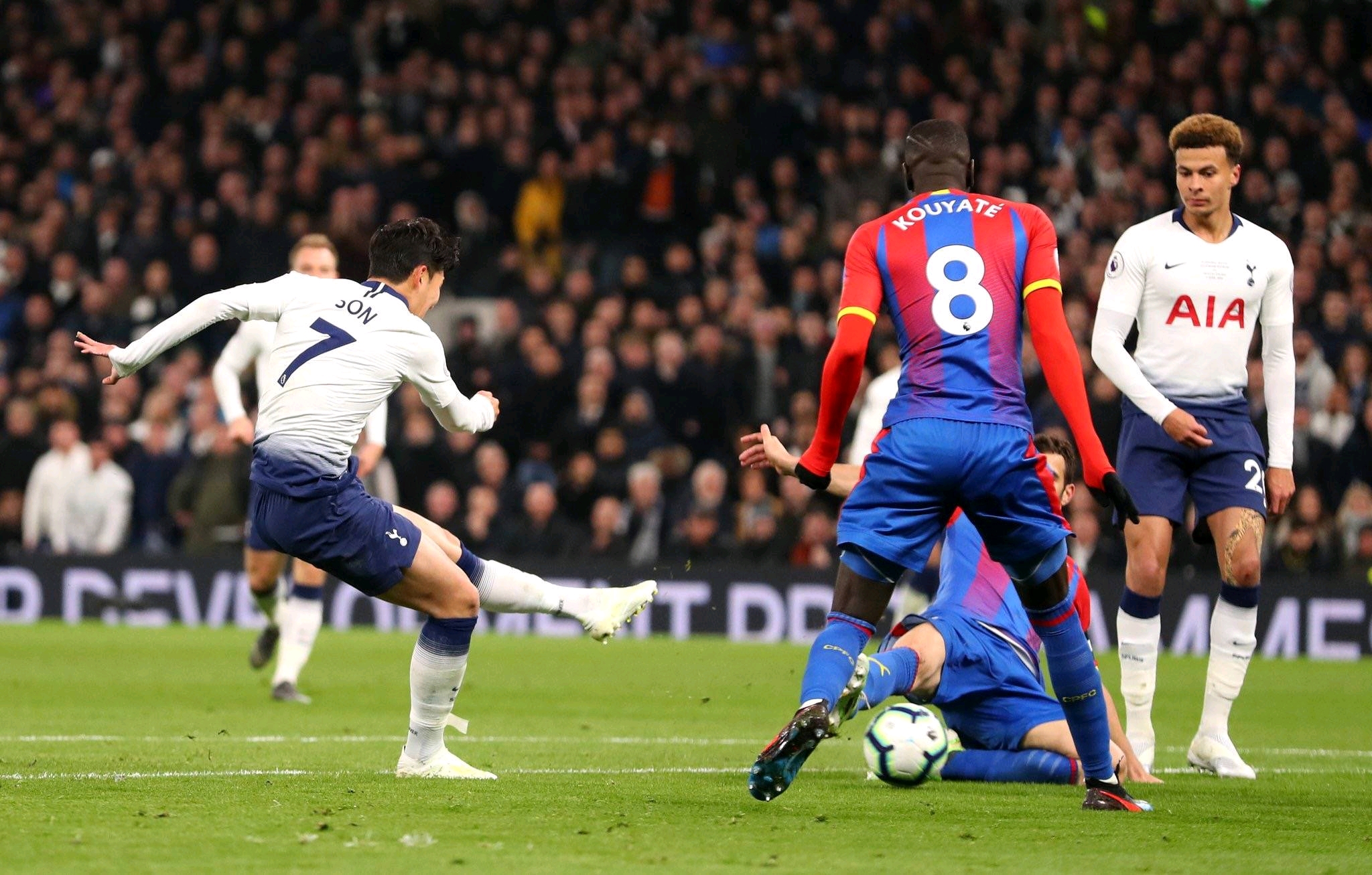 尔夫发展的 尔夫发展的